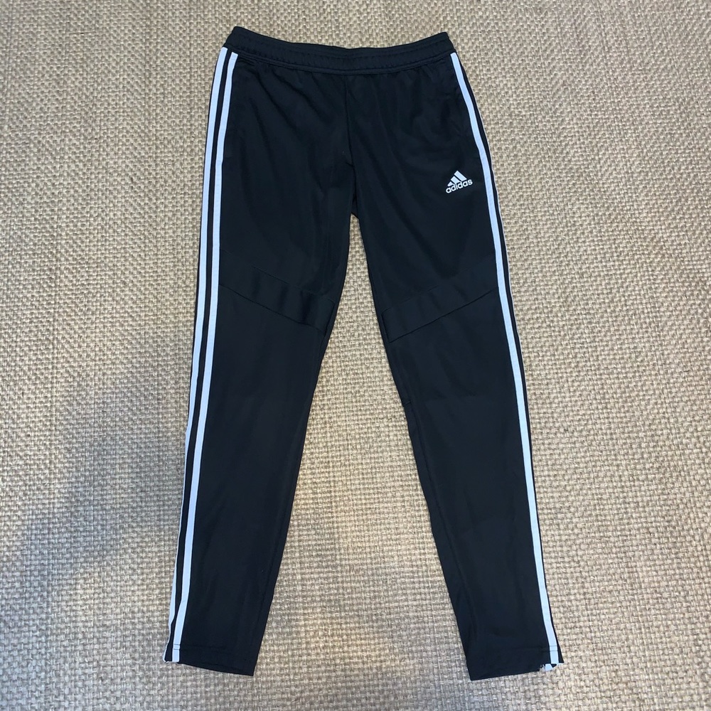 Adidas Tiro 19 Training Pants